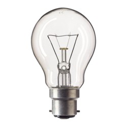 Philips Standard Incandescent 60 W Bulb