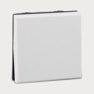 Legrand Myrius Switch 10A 1 way 2 module 230V White