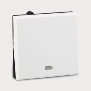 Legrand Myrius Switch 10A 1 way with indicator 2 module 230V White