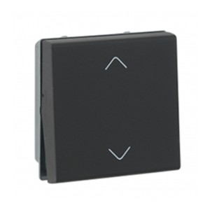 Legrand Myrius Switch 10A 2 way 2 module 230V Black