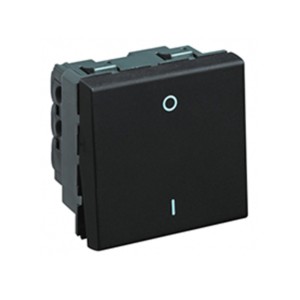 Legrand Myrius Switch 20A DP 1 way 2 module 230V Black