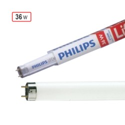 philips champion tube light