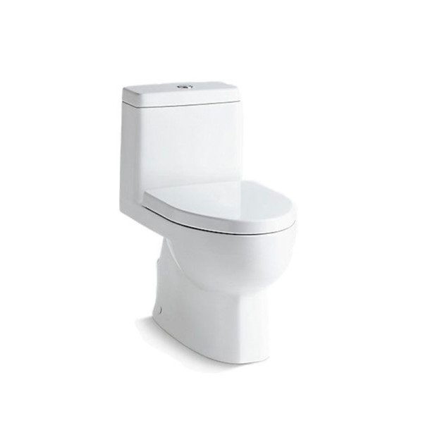 Kohler Reach One Piece Water Closet with Quiet Close seat cover White ...